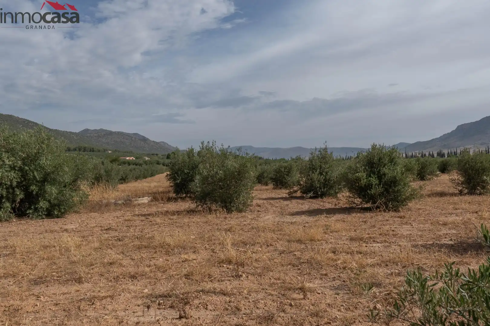Casa o chalet en venta en Huéscar
