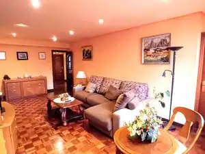 Sala d'estar de Pis de lloguer en A Coruña Capital  amb Parquet, Moblat i Forn