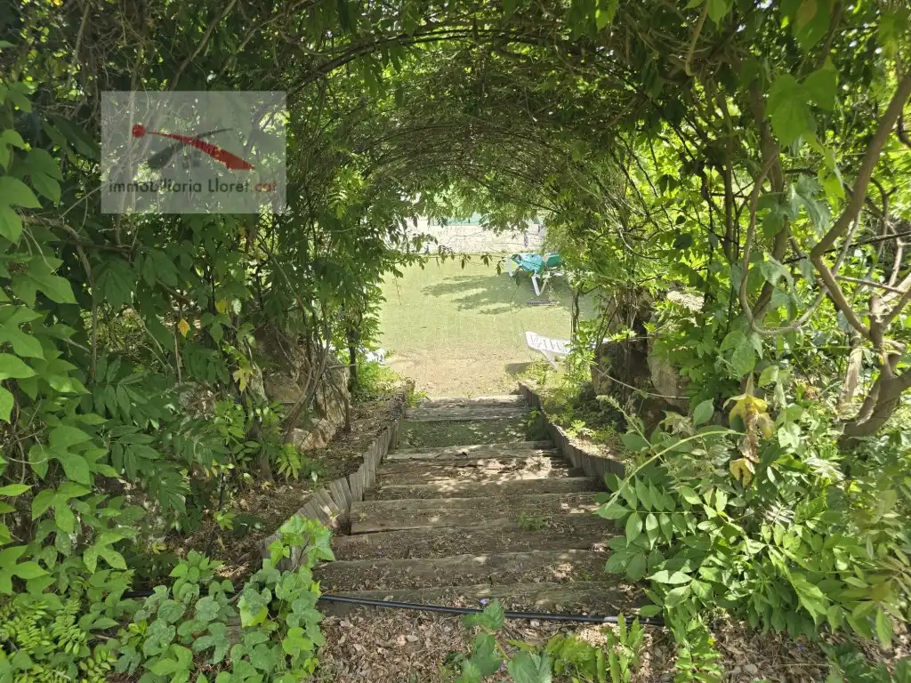 Maison à vendre à Roca Grossa, imagen 34