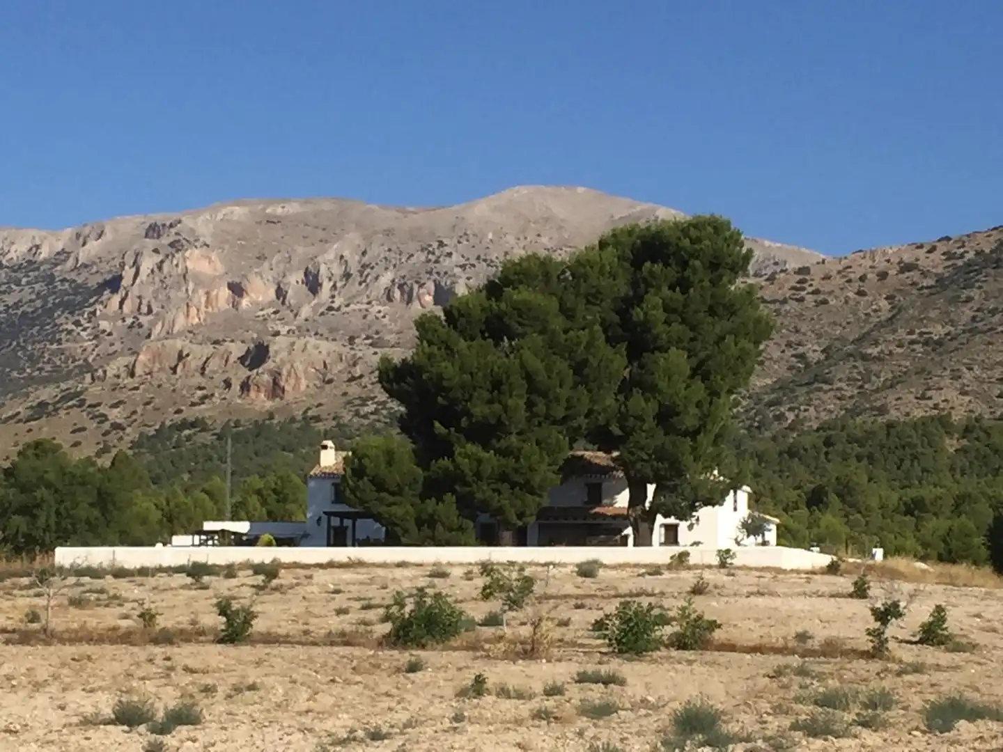 Country house for sale in Chirivel, imagen 2