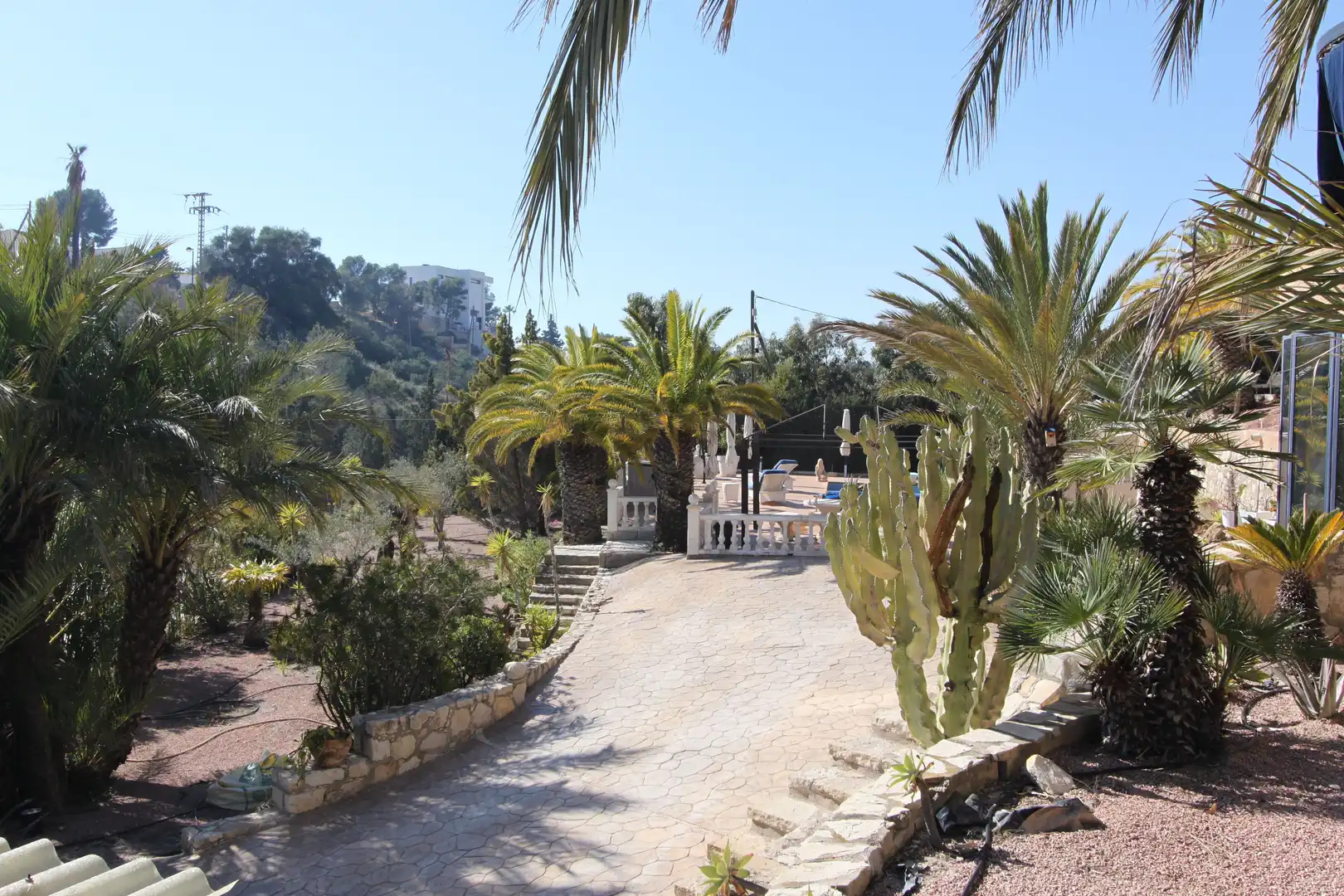 Garden of Houses for sale in El Campello