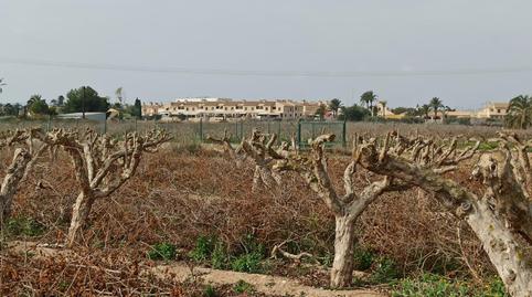 Foto 4 de Residencial en venta en Perleta - Maitino, Elche / Elx