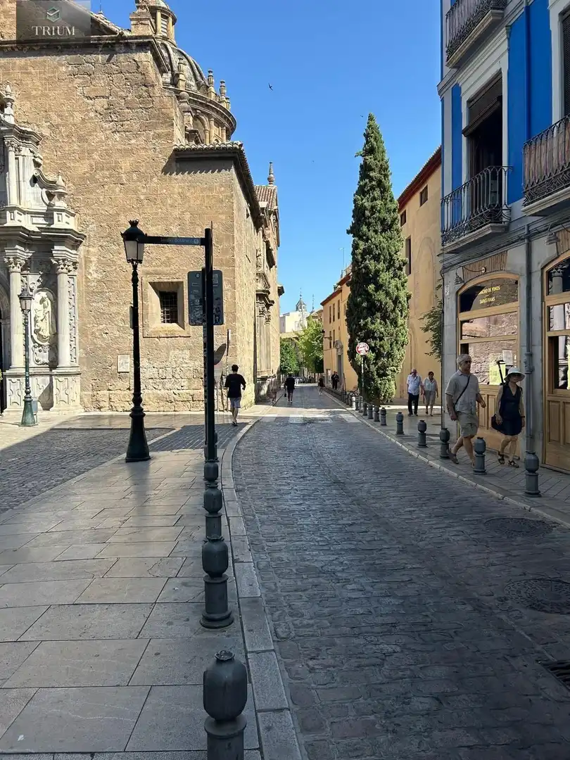 Vista exterior de Apartament de lloguer en Granada amb Traster, Moblat i Balcó