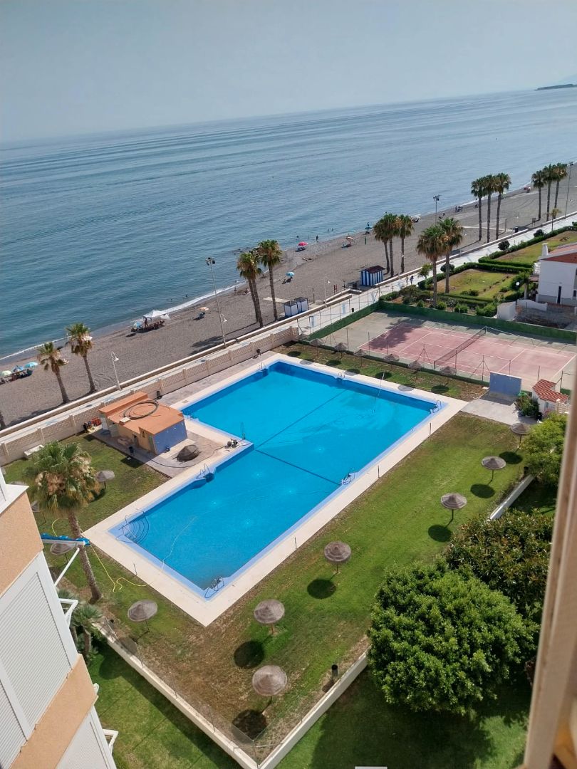 Swimming pool of Apartment for sale in Algarrobo  with Community pool