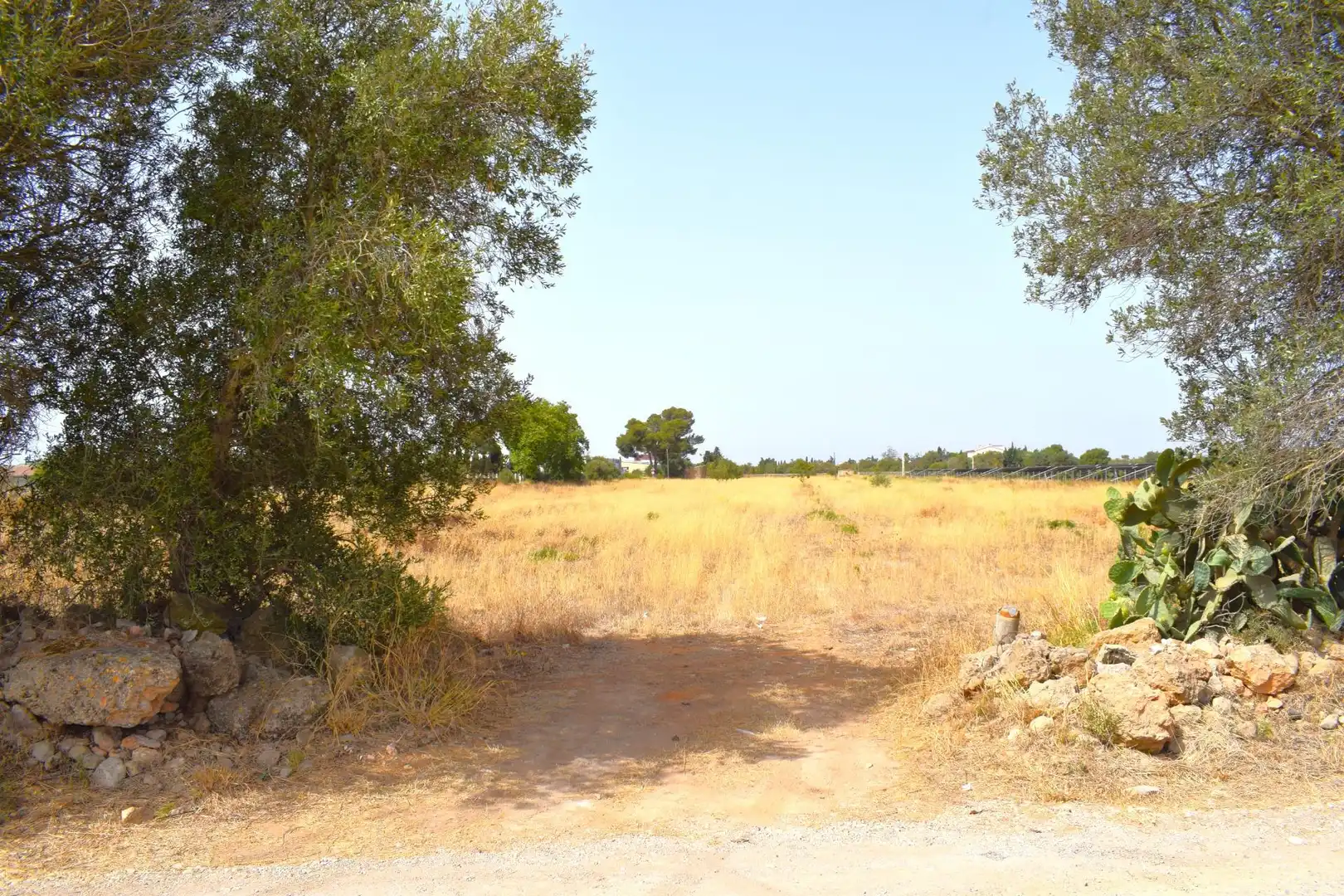 Terreny residencial en venda a Santa María del Camí, imagen 11