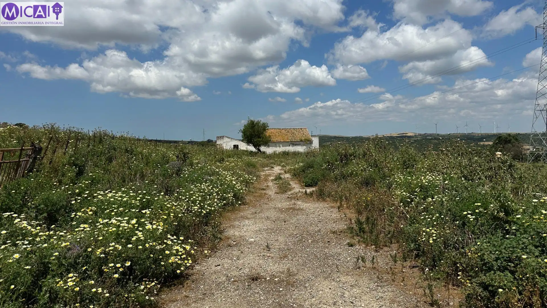 Terreny rústic en venda a Medina Sidonia, imagen 9