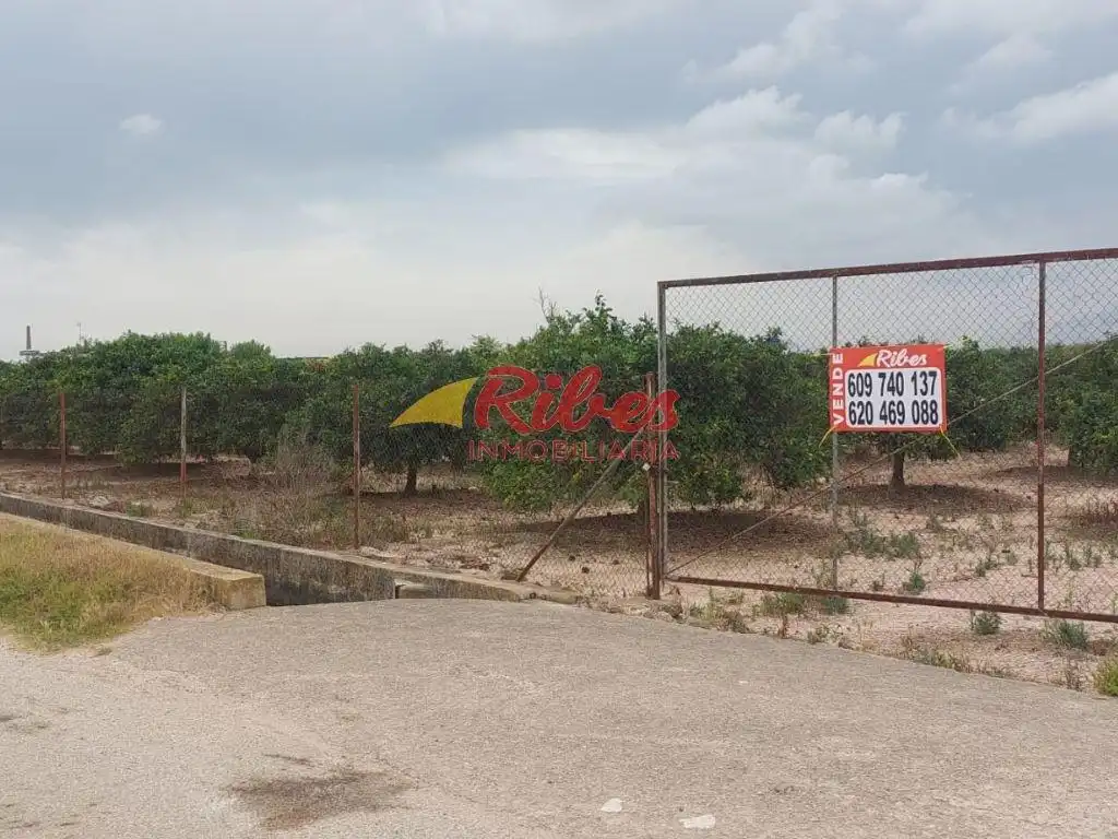 Terreny rústic en venda a Bulevar del Xúquer