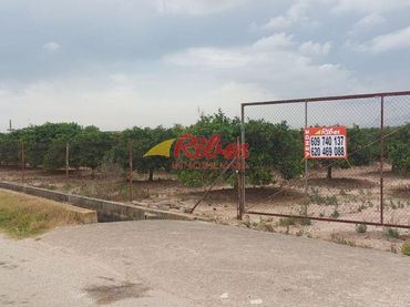 Terreno rústico en venta en Bulevar del Xúquer