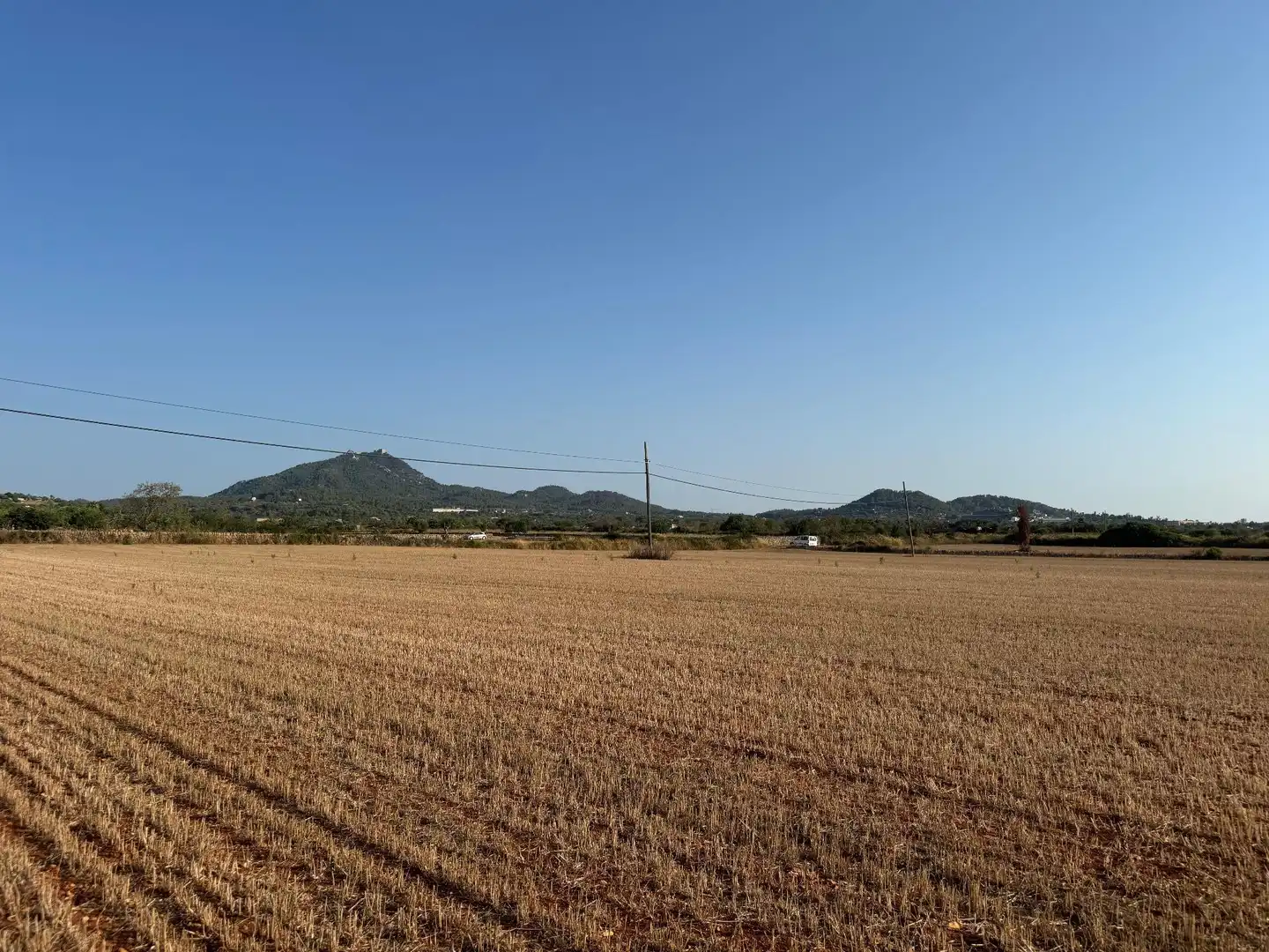Rural land for sale in M14 Diseminado Primera Volta, imagen 6