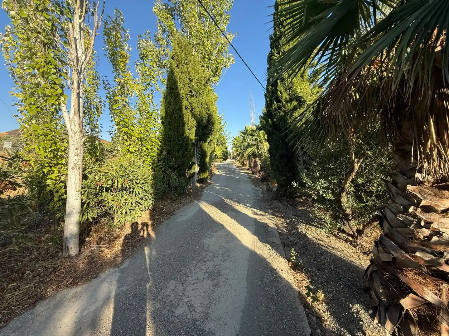 House for sale in Fuentemora, imagen 5