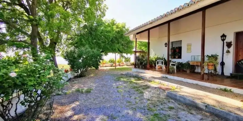 Casa con piscina en venta en Camino EXTRARRADIO, imagen 41
