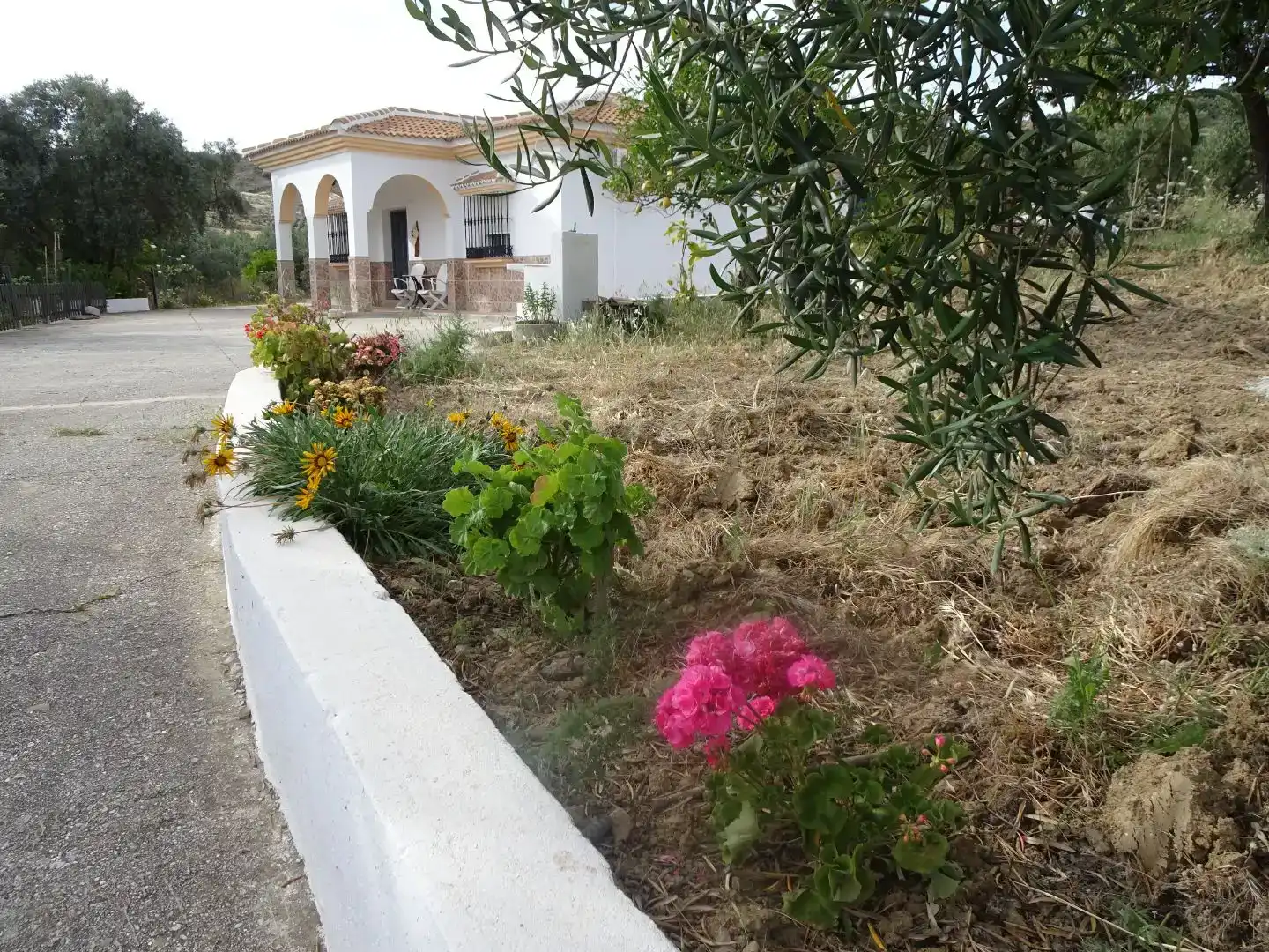 Garden of Flat for sale in Almogía, Málaga