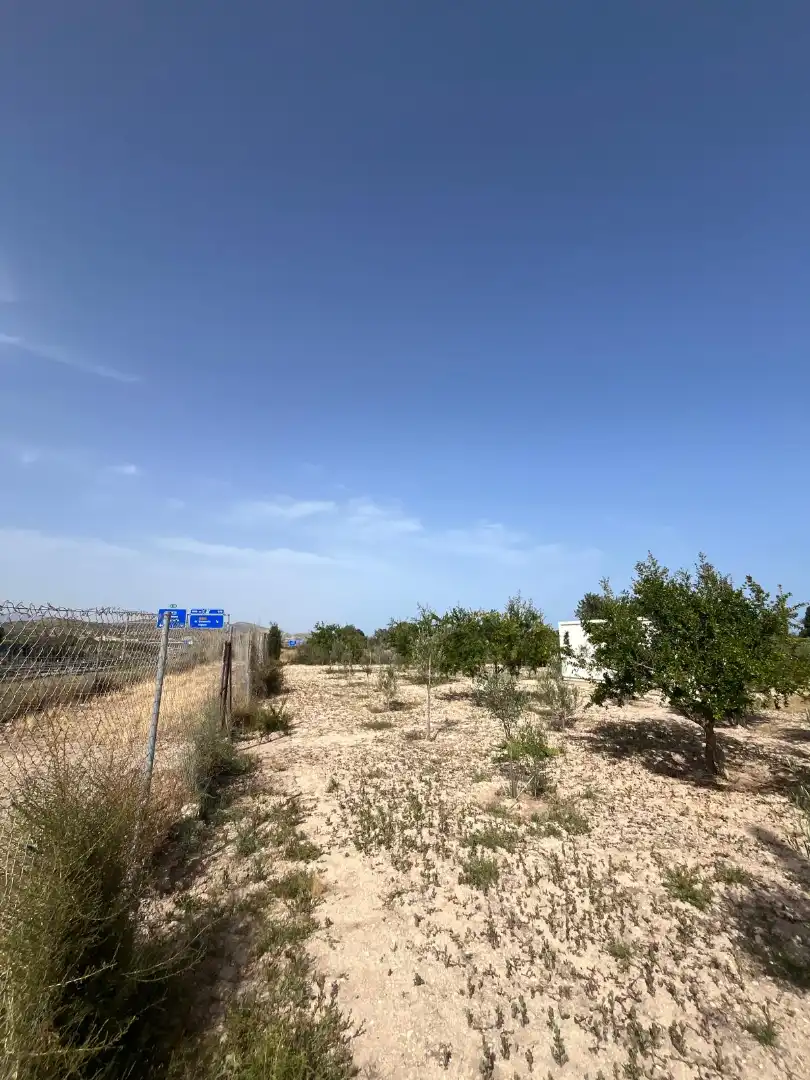 Rural land for sale in Avenida de la Cruz, imagen 5