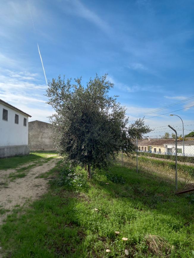 Residential for sale in Otero