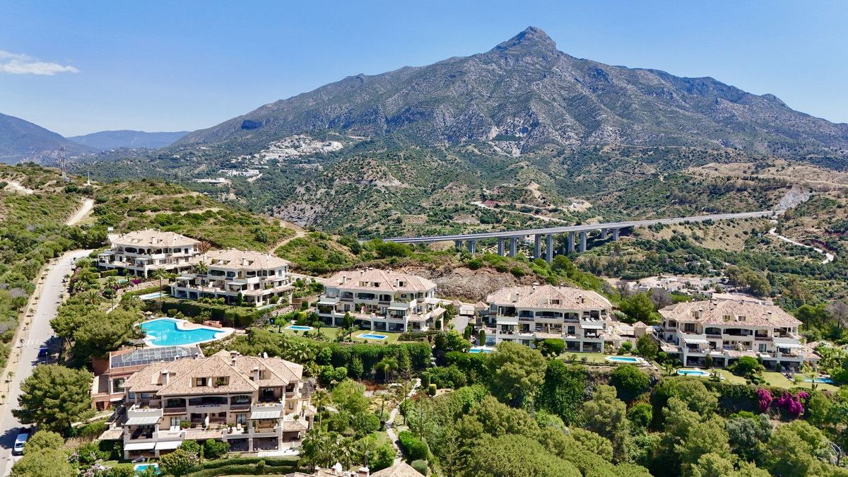 Vista exterior de Planta baixa en venda en Marbella amb Aire condicionat, Terrassa i Piscina
