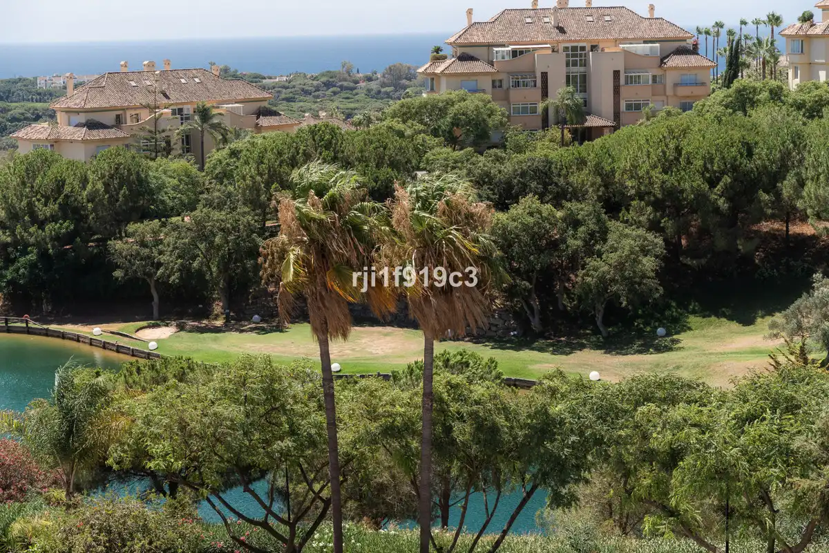Vista exterior de Pis en venda en Marbella amb Aire condicionat, Terrassa i Traster
