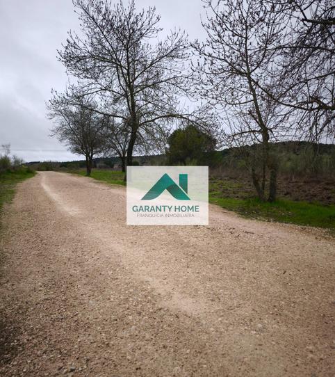 Foto 2 de Finca rústica en venta en Camino Cº Viejo de las Matas, El Cantizal, Las Rozas de Madrid