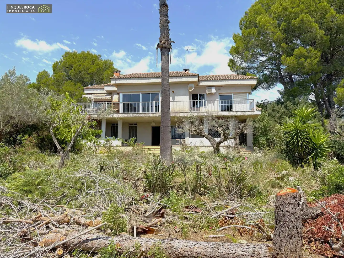 Vista exterior de Casa o xalet en venda en Alcanar amb Aire condicionat, Calefacció i Jardí privat