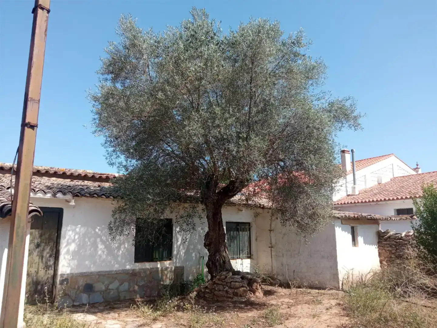 Jardí de Finca rústica en venda en Corteconcepción amb Jardí privat