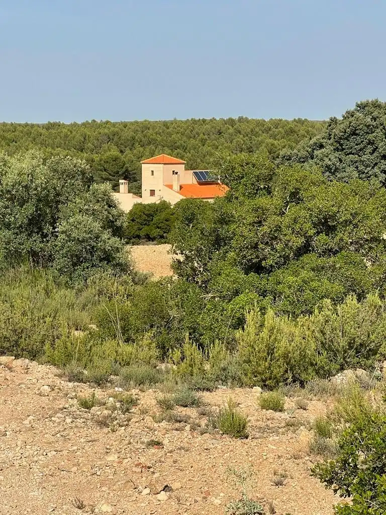 Casa rústica en venda a Almansa, imagen 26