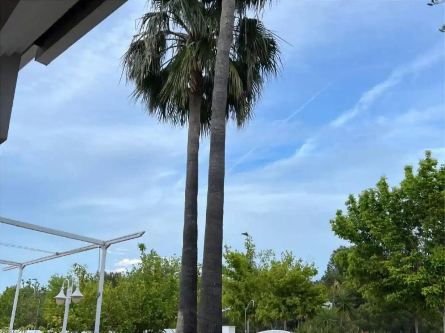 Vista exterior de Casa o xalet de lloguer en Castellón de la Plana / Castelló de la Plana amb Aire condicionat, Jardí privat i Parquet