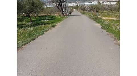 TERRENO PARTIDA ELS PLANS EN IBI, immagine 2