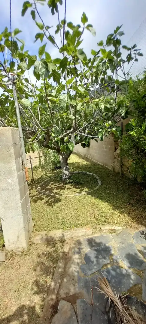 Jardí de Finca rústica en venda en Tordera amb Jardí privat