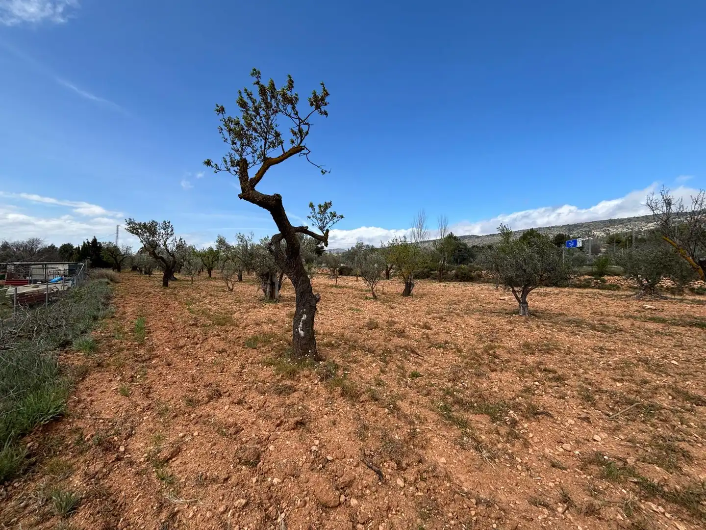 Terreno rústico en venta en CV-806, imagen 15