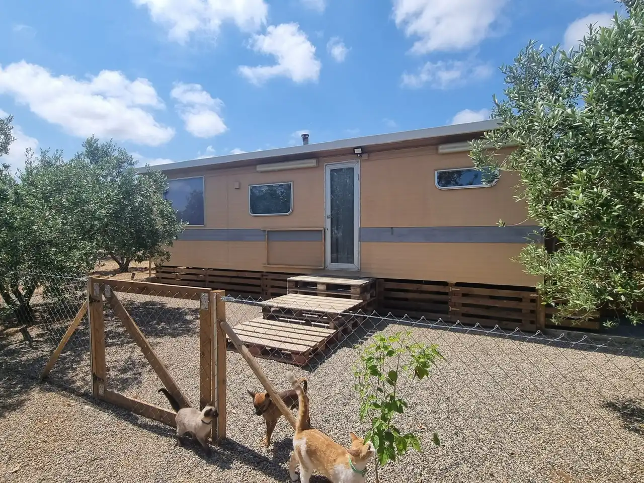 Vista exterior de Finca rústica en venda en Reus amb Aire condicionat, Calefacció i Jardí privat