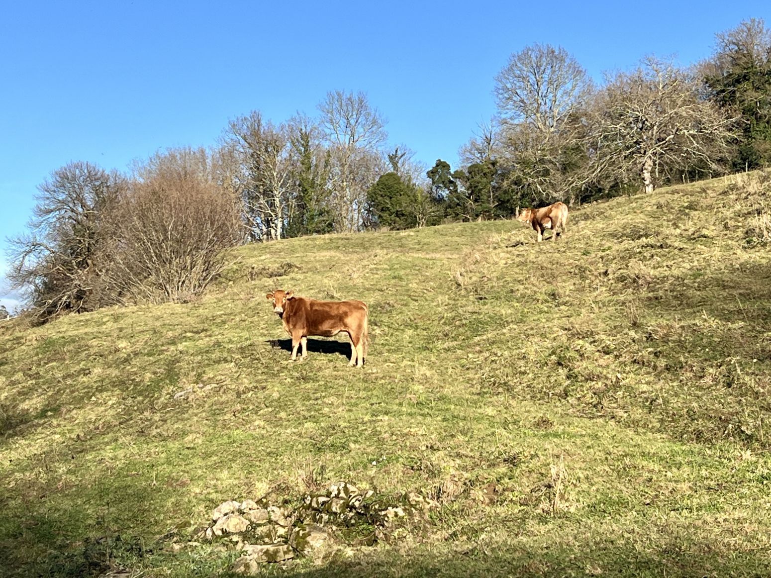 Haus oder Chalet zum verkauf in Aloños - ALOÑOS