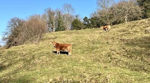 Foto 3 de Casa o xalet en venda a Aloños - Aloños, Villacarriedo, Cantabria