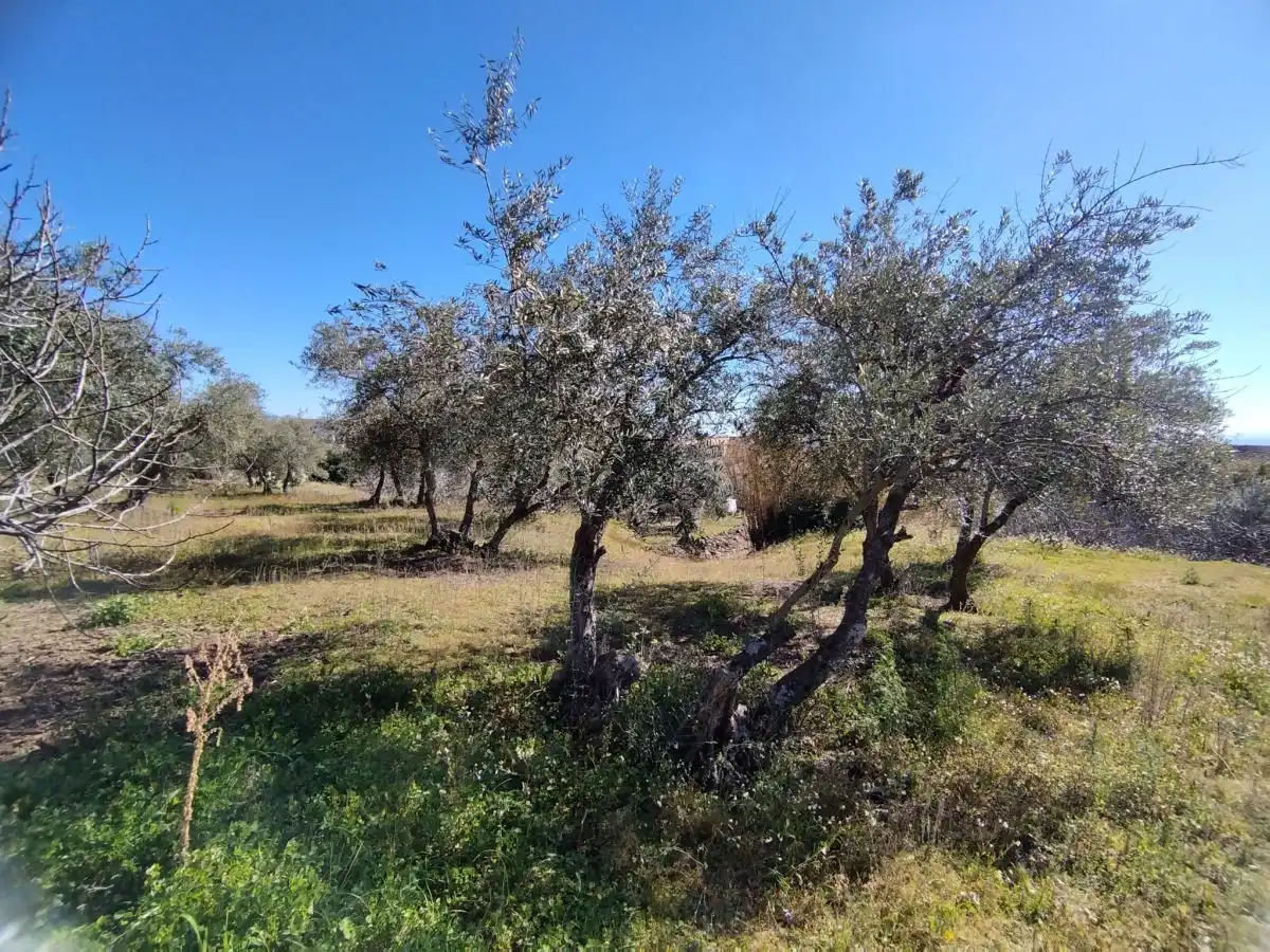Terreni e lotti in vendita a Jaraíz de la Vera, imagen 2