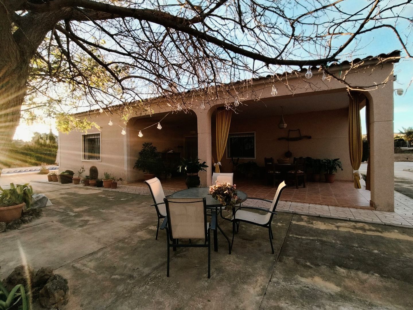 Terrace of Land for sale in Crevillent