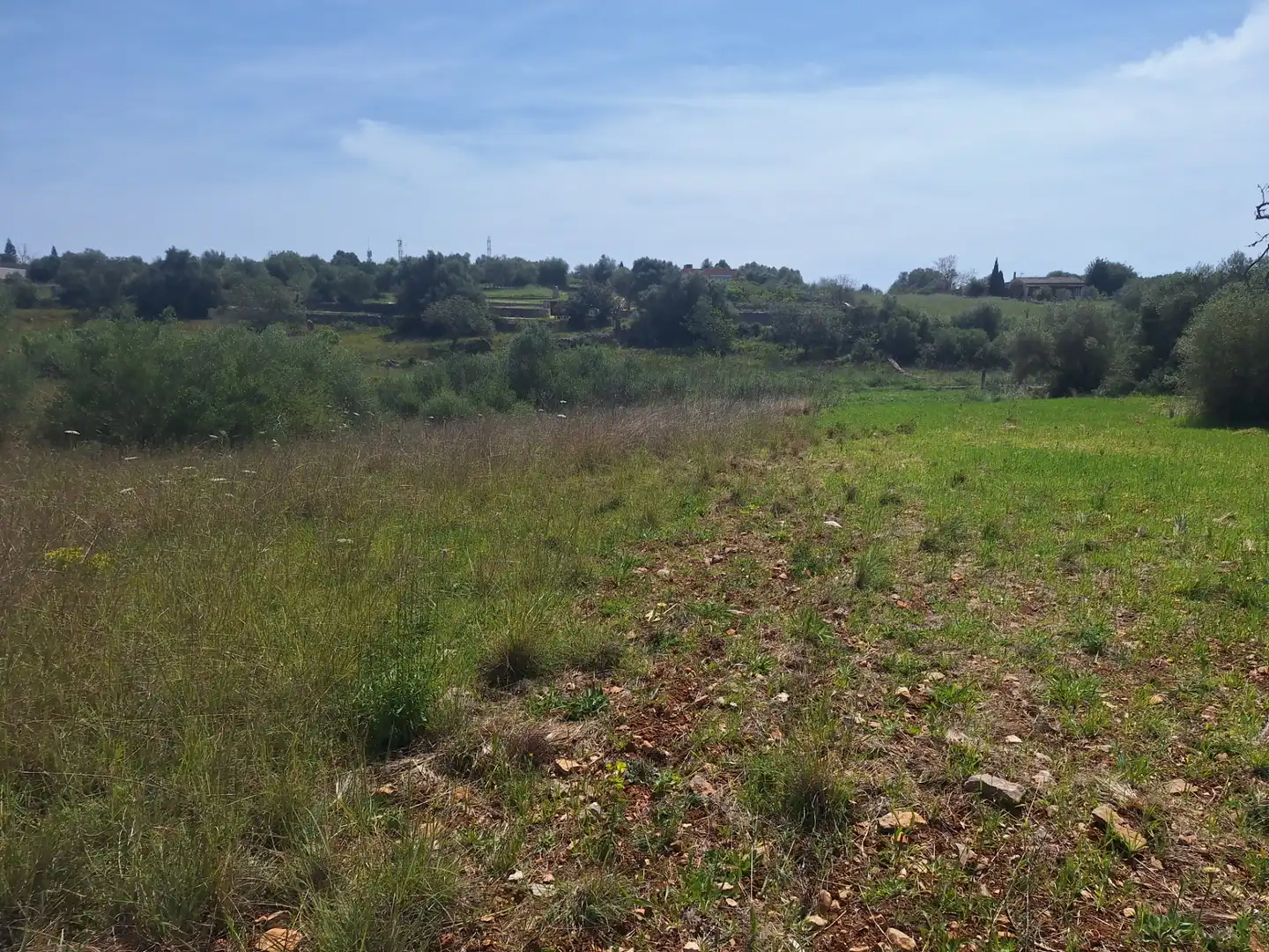 Rural land for sale in Sant Llorenç des Cardassar