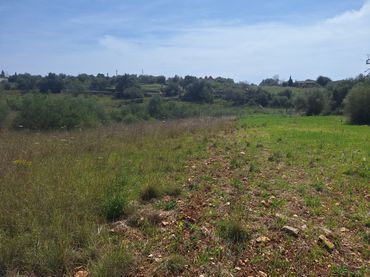 Terreny rústic en venda a Sant Llorenç des Cardassar