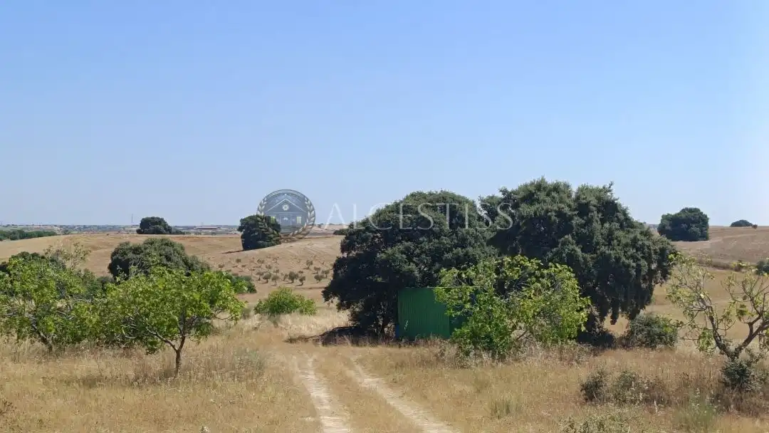 Terreni e lotti in vendita a Méntrida, imagen 8