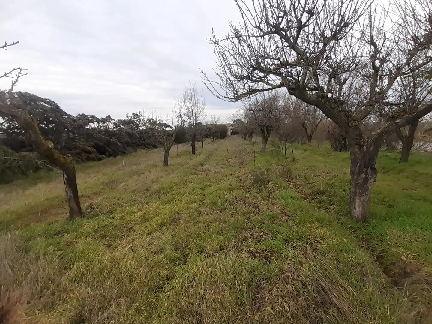 Terreni e lotti in vendita a Fresno de la Ribera, imagen 8