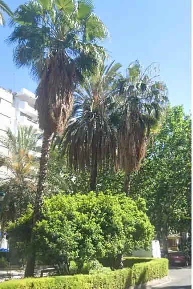 Wohnung mit Aufzug zum Verkauf in L'Eixample, imagen 42