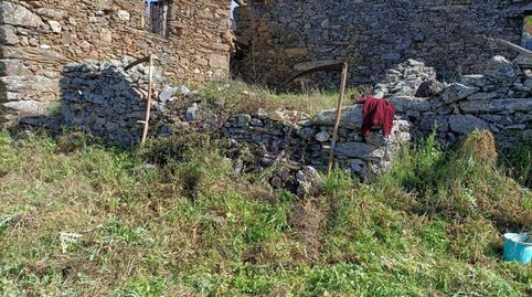 Immagine 3 dell'annuncio