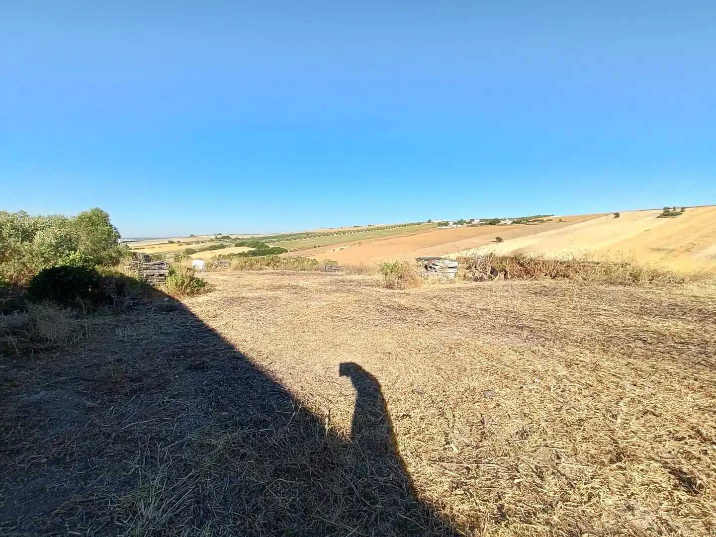 Casa rústica en venda a Arcos de la Frontera, imagen 9