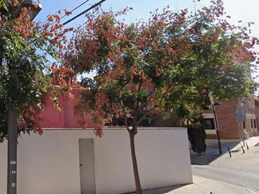 Terreno rústico en venta en TEJAR