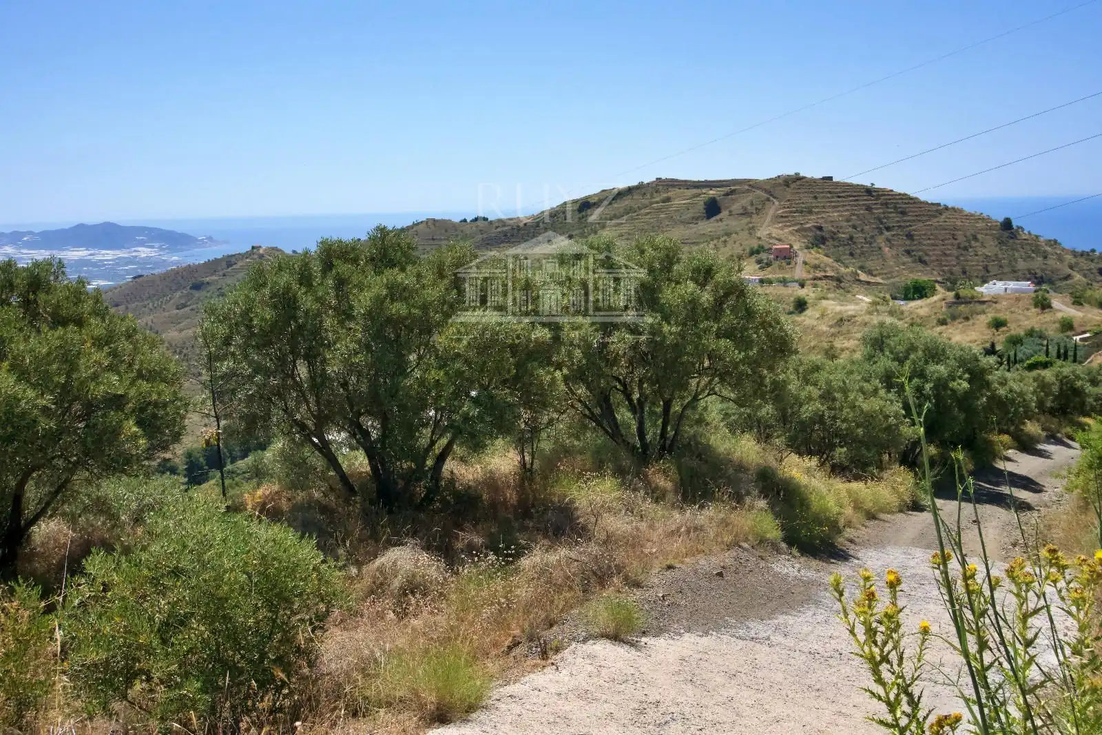 Terreny rústic en venda a Paraje El Poyetón, imagen 5