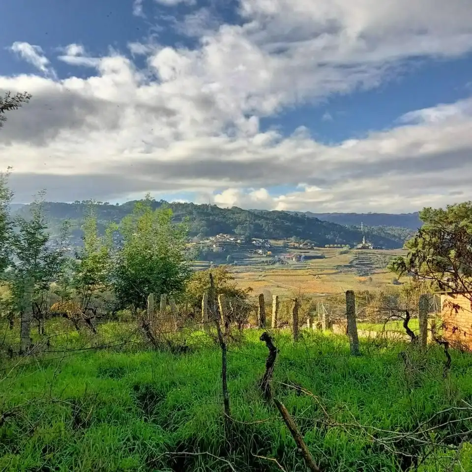 Maison à vendre à Cenlle, imagen 5