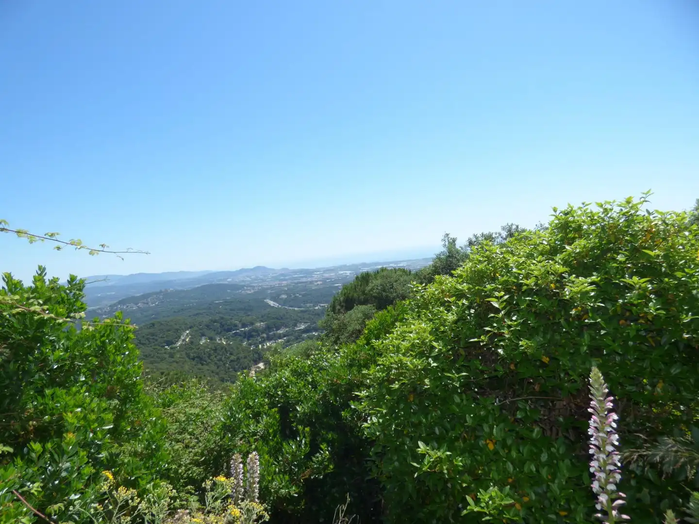 Residential land for sale in Palafolls, imagen 4
