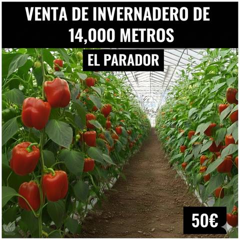 Terreno en Venta en Avenida de Carlos III, 37 en El Parador de las Hortichuelas