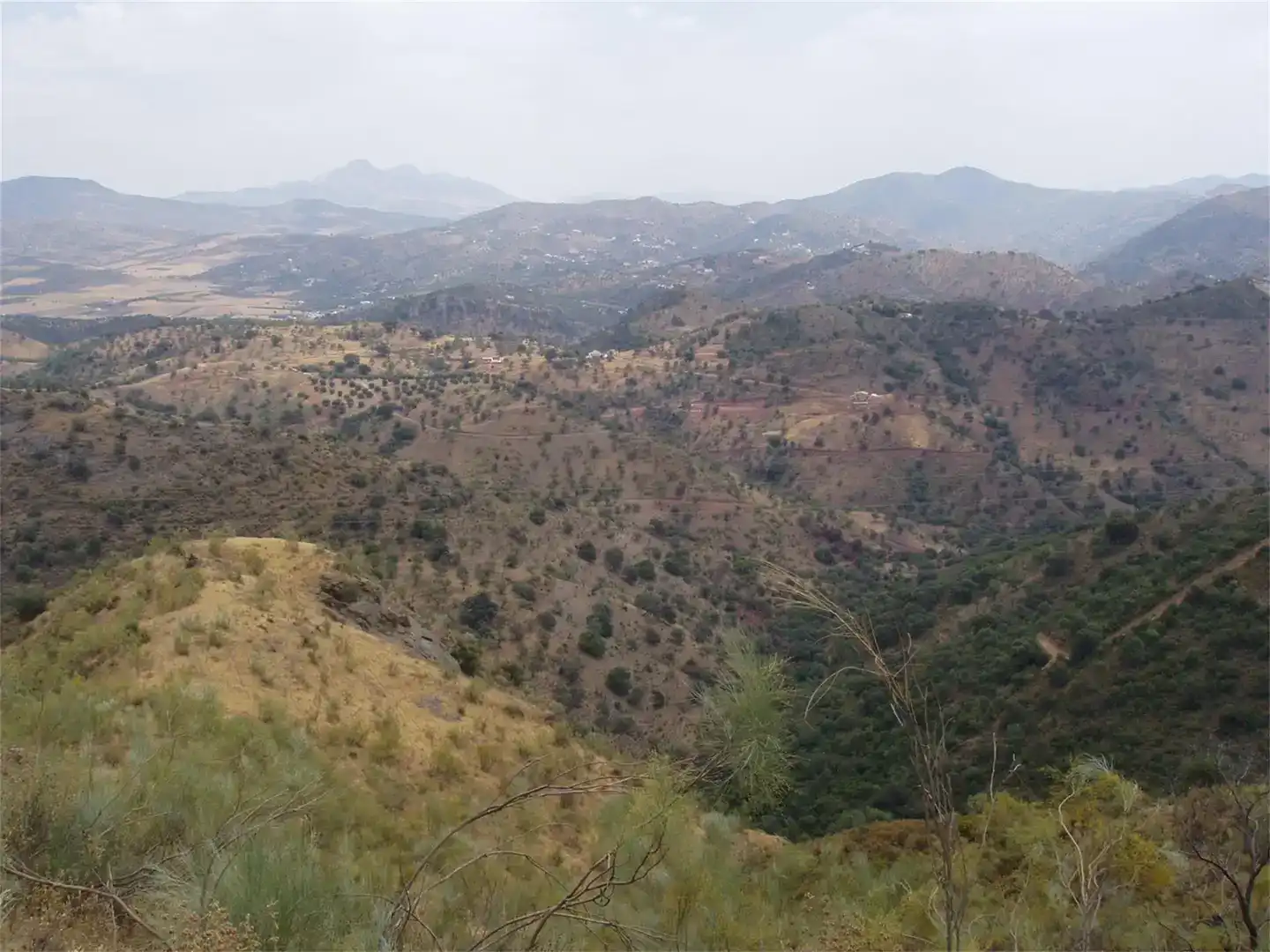 Finca rústica en venta en Almogía