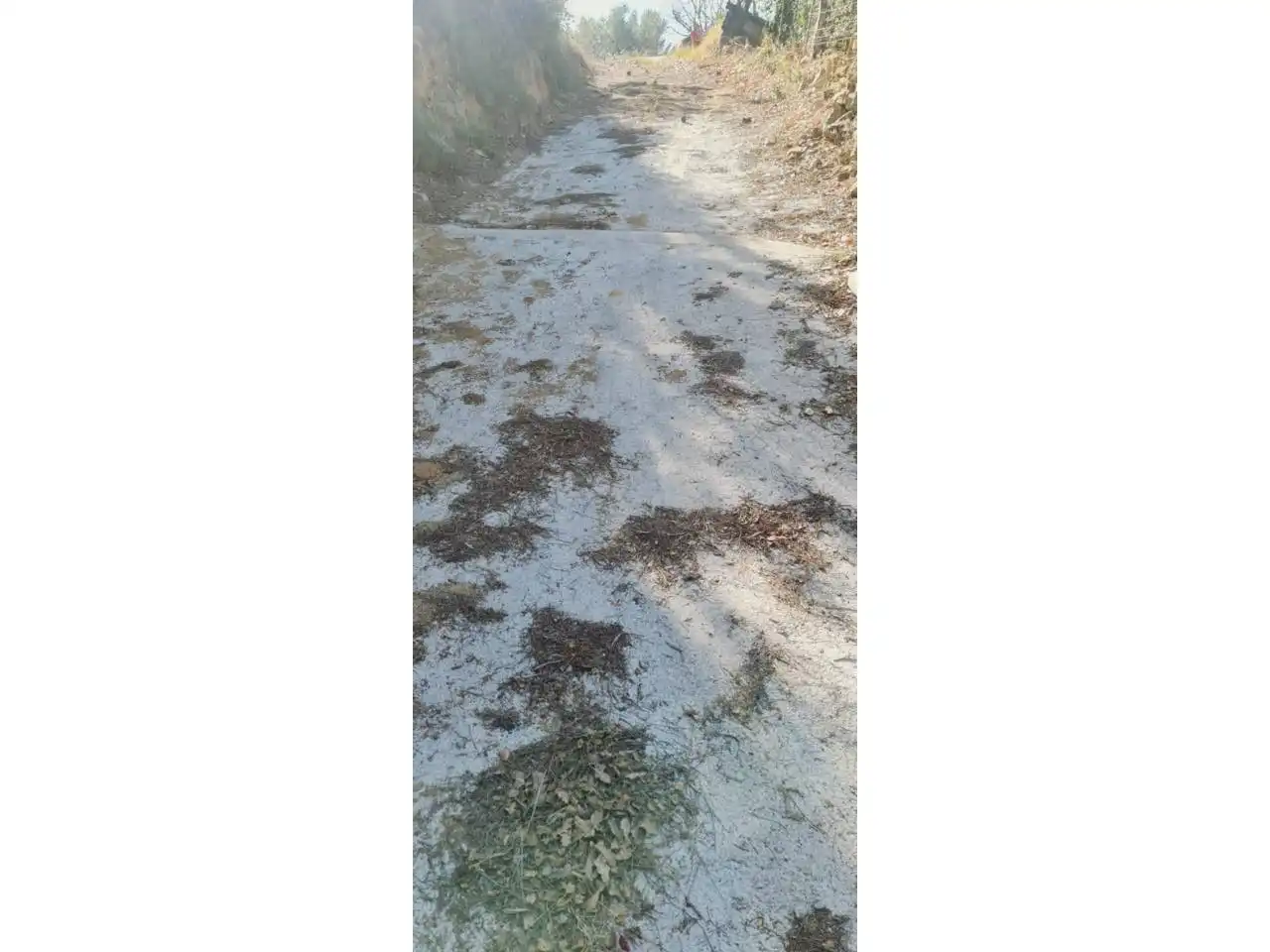 Terreno rustico in vendita a Sant Fost de Campsentelles, imagen 19