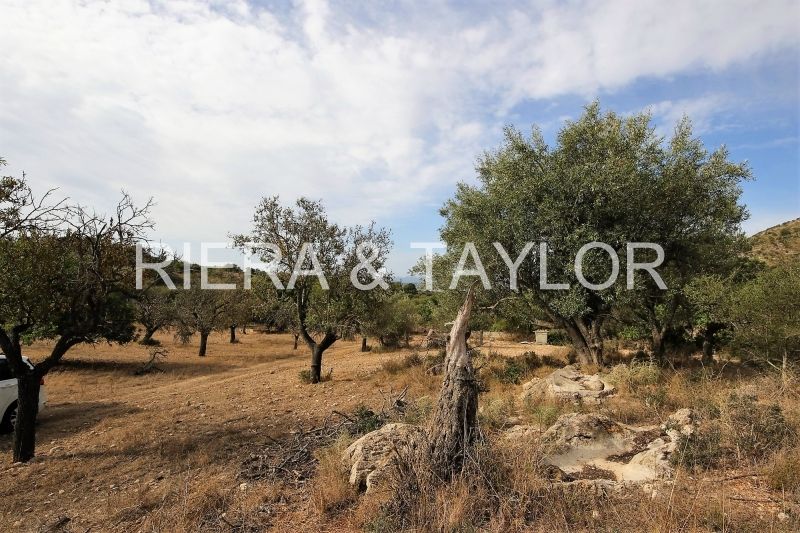 Finca rústica en venda en Sant Llorenç des Cardassar