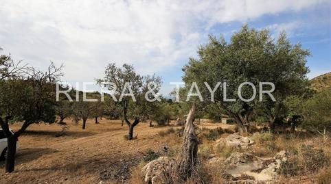 Photo 3 of Country house for sale in Sant Llorenç des Cardassar, Illes Balears