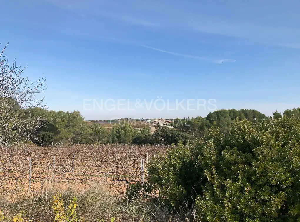 Fabrik Grundstücke zum Verkauf in Avinyonet del Penedès